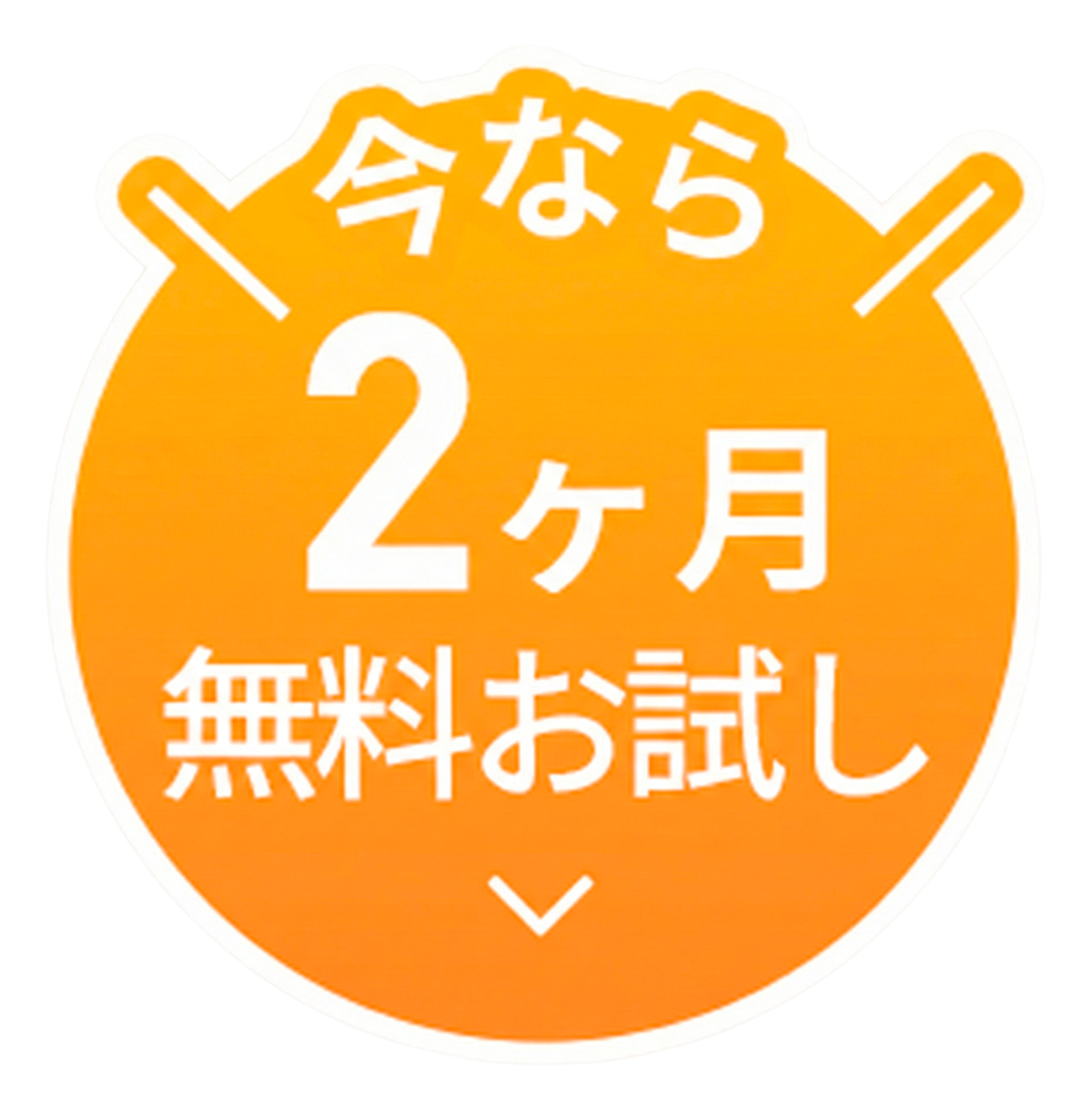 今なら2ヶ月無料お試し